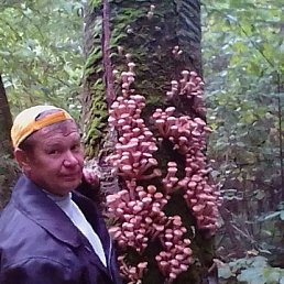 Дмитрий, Клин, 53 года